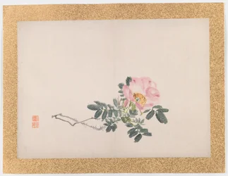 Ohne Titel (Rosa Rose), 1855